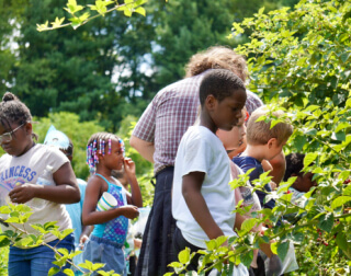 Children doing activities outside with plants